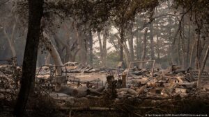 3 die in Northern California wildfire, tens of thousands to evacuate