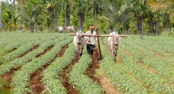 Bharatiya Kisan Sangh asks loan waiver for farmers who succumbed to Covid-19