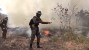 Bolivia battles to settle the raging fire in farms, forests