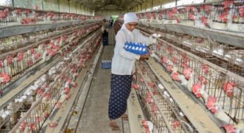 9 states have declared bird flu in poultry birds