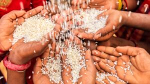 PDS beneficiaries to receive 5 kg free rice as per PMGKAY in Karnataka