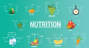 The month of September with the ‘Essence of Nutrition’