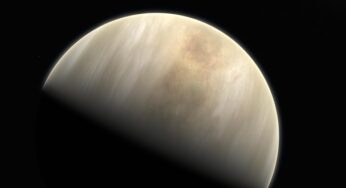 NASA contemplates on a potential mission to Venus after discovery of life