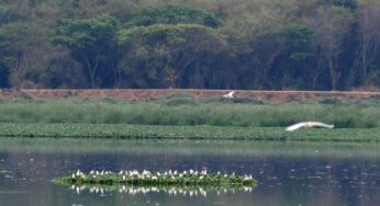 11 Wetlands in Karnataka passed by Centre for conservation