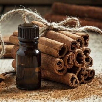 23 medicinal plants marked for endangered list in Karnataka